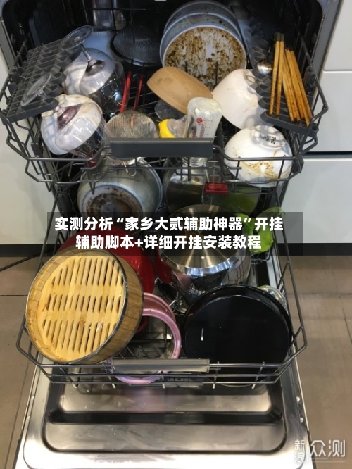 实测分析“家乡大贰辅助神器”开挂辅助脚本+详细开挂安装教程