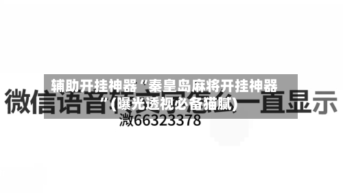 辅助开挂神器“秦皇岛麻将开挂神器	”(曝光透视必备猫腻)-第2张图片