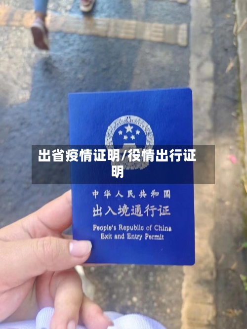 出省疫情证明/役情出行证明-第2张图片