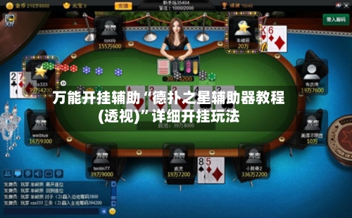 万能开挂辅助“德扑之星辅助器教程(透视)	”详细开挂玩法-第1张图片