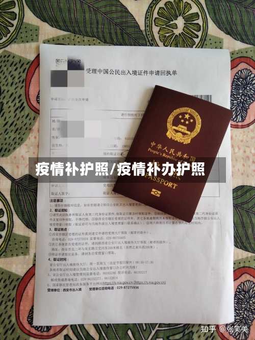 疫情补护照/疫情补办护照