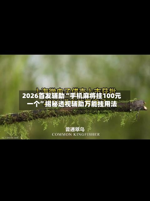 2026首发辅助“手机麻将挂100元一个	”揭秘透视辅助万能挂用法-第3张图片