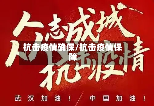 抗击疫情确保/抗击疫情保障-第2张图片