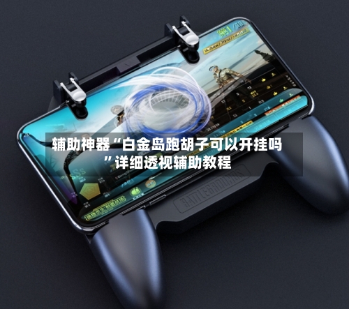 辅助神器“白金岛跑胡子可以开挂吗”详细透视辅助教程-第3张图片