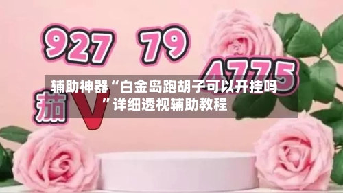 辅助神器“白金岛跑胡子可以开挂吗	”详细透视辅助教程-第1张图片