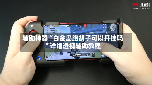 辅助神器“白金岛跑胡子可以开挂吗”详细透视辅助教程-第2张图片