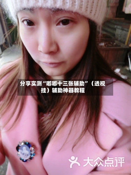 分享实测“嘟嘟十三张辅助”（透视挂）辅助神器教程-第1张图片