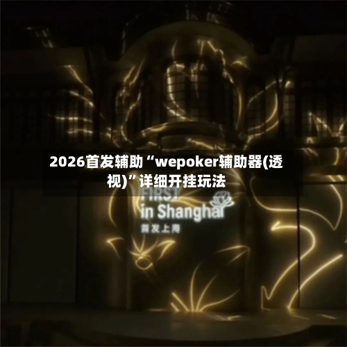 2026首发辅助“wepoker辅助器(透视)”详细开挂玩法-第2张图片