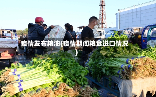 疫情发布粮油(疫情期间粮食进口情况)-第3张图片