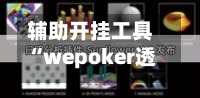辅助开挂工具“wepoker透视挂的软件”科技辅助神器手机版教程-第1张图片
