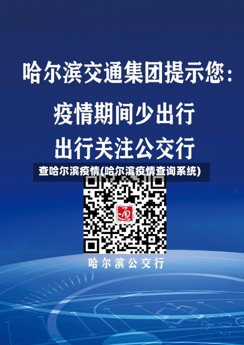 查哈尔滨疫情(哈尔滨疫情查询系统)-第3张图片