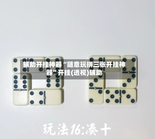 辅助开挂神器“随意玩拼三张开挂神器”开挂(透视)辅助-第3张图片