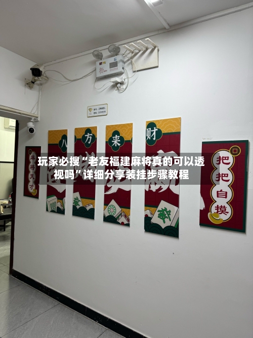 玩家必搜“老友福建麻将真的可以透视吗	”详细分享装挂步骤教程-第2张图片