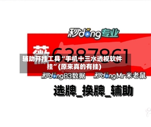辅助开挂工具“手机十三水透视软件挂	”(原来真的有挂)-第1张图片