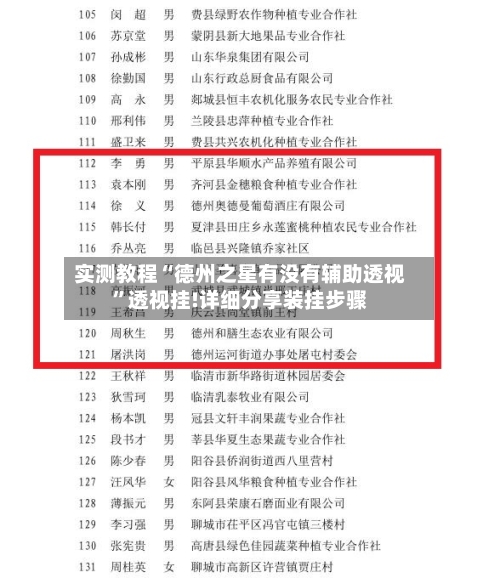 实测教程“德州之星有没有辅助透视”透视挂!详细分享装挂步骤-第3张图片