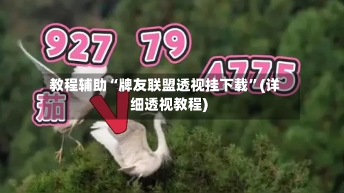 教程辅助“牌友联盟透视挂下载”(详细透视教程)-第3张图片