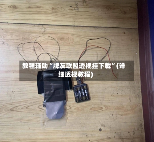 教程辅助“牌友联盟透视挂下载”(详细透视教程)-第2张图片