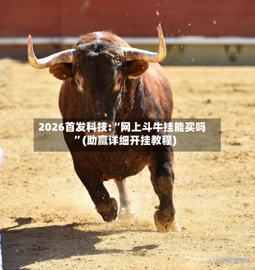 2026首发科技:“网上斗牛挂能买吗”(助赢详细开挂教程)-第3张图片