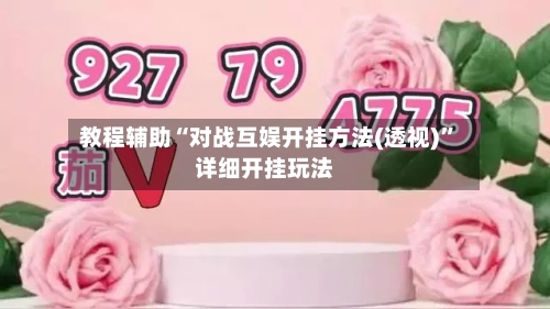 教程辅助“对战互娱开挂方法(透视)”详细开挂玩法