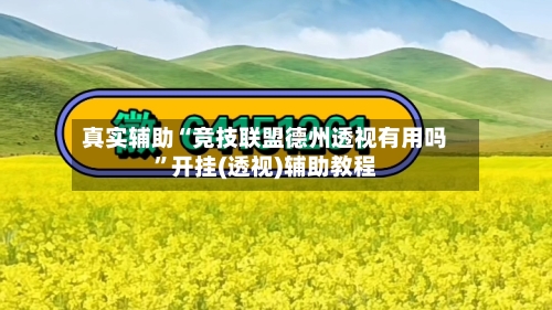 真实辅助“竞技联盟德州透视有用吗”开挂(透视)辅助教程