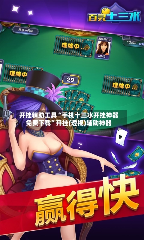 开挂辅助工具“手机十三水开挂神器免费下载”开挂(透视)辅助神器-第3张图片