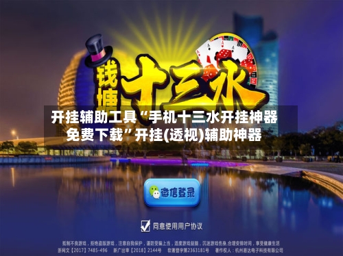 开挂辅助工具“手机十三水开挂神器免费下载”开挂(透视)辅助神器-第2张图片