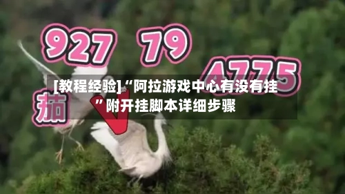 [教程经验]“阿拉游戏中心有没有挂”附开挂脚本详细步骤