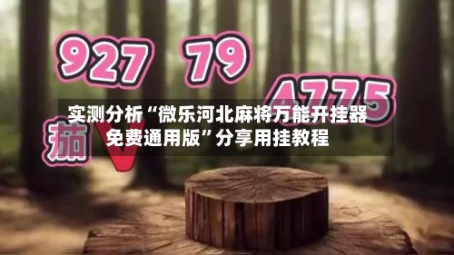 实测分析“微乐河北麻将万能开挂器免费通用版	”分享用挂教程-第1张图片