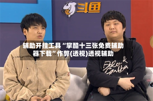 辅助开挂工具“掌酷十三张免费辅助器下载	”作弊(透视)透视辅助-第2张图片