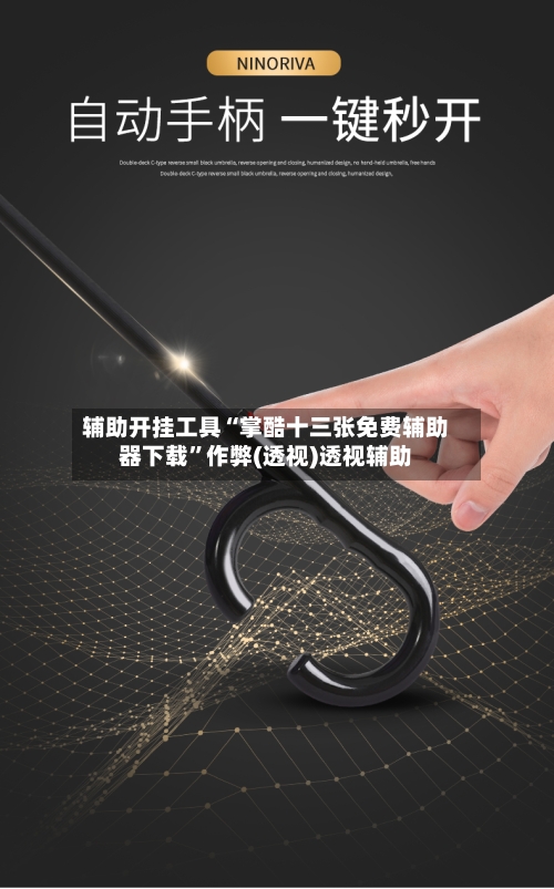 辅助开挂工具“掌酷十三张免费辅助器下载”作弊(透视)透视辅助-第3张图片