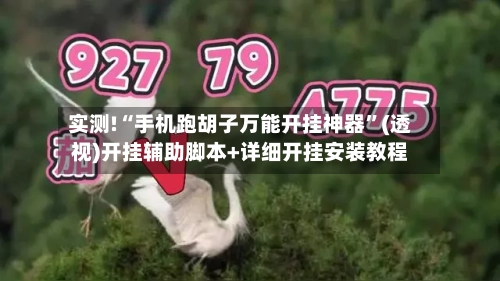 实测!“手机跑胡子万能开挂神器”(透视)开挂辅助脚本+详细开挂安装教程