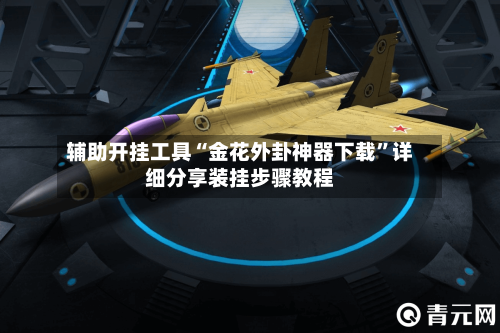 辅助开挂工具“金花外卦神器下载	”详细分享装挂步骤教程-第2张图片