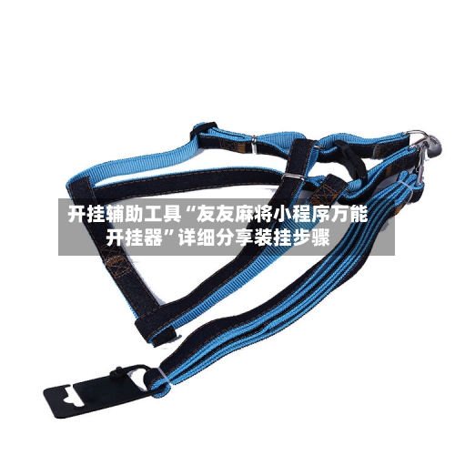 开挂辅助工具“友友麻将小程序万能开挂器”详细分享装挂步骤