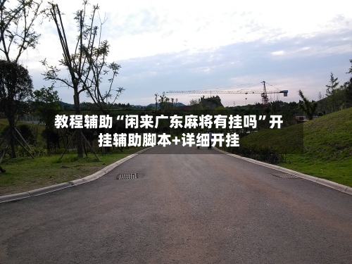 教程辅助“闲来广东麻将有挂吗”开挂辅助脚本+详细开挂-第3张图片