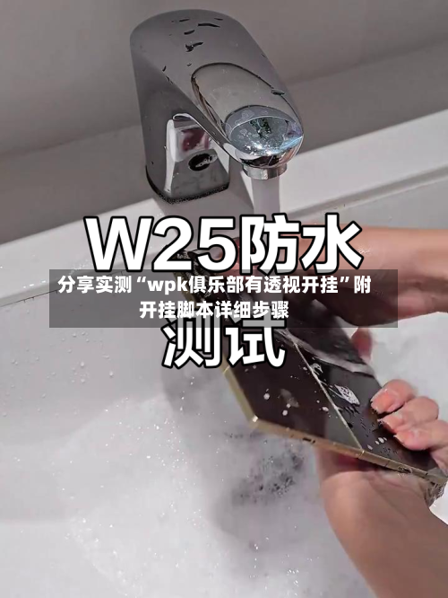 分享实测“wpk俱乐部有透视开挂	”附开挂脚本详细步骤-第1张图片