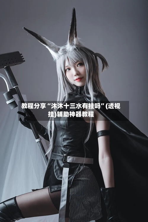 教程分享“沐沐十三水有挂吗”(透视挂)辅助神器教程