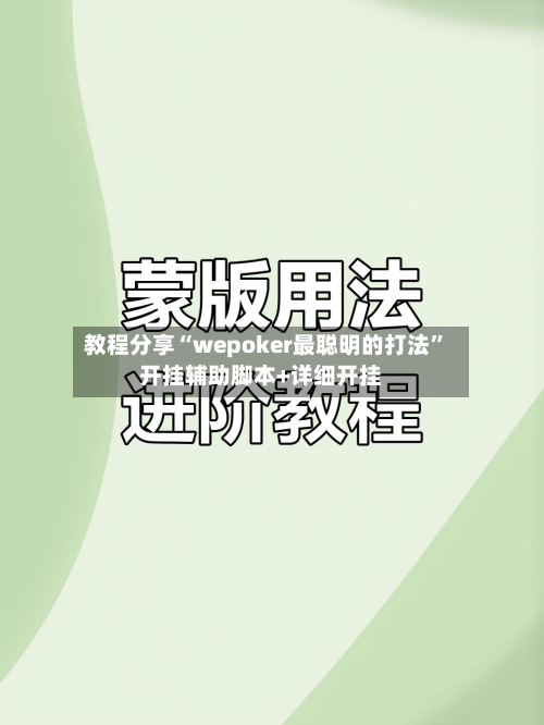 教程分享“wepoker最聪明的打法	”开挂辅助脚本+详细开挂-第2张图片