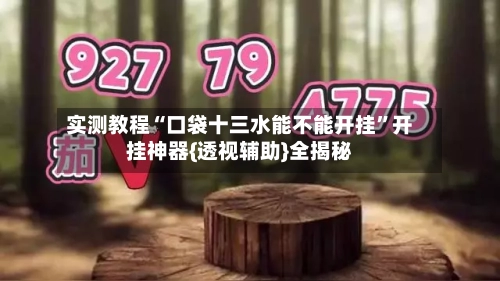 实测教程“口袋十三水能不能开挂”开挂神器{透视辅助}全揭秘