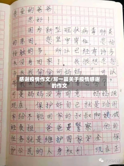 感谢疫情作文/写一篇关于疫情感谢的作文-第1张图片