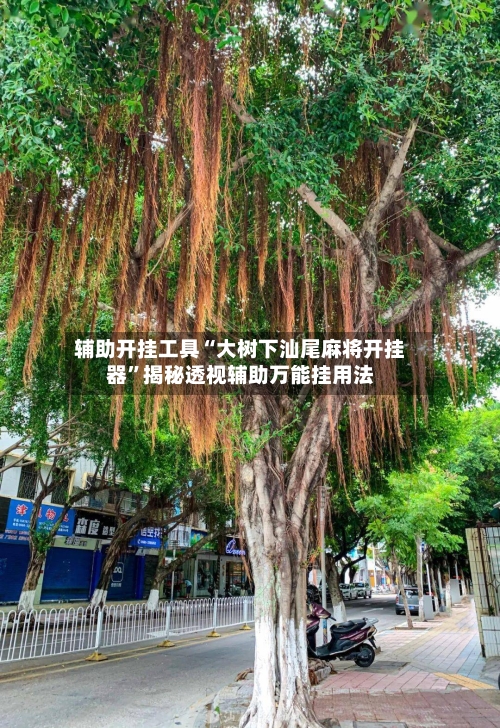 辅助开挂工具“大树下汕尾麻将开挂器	”揭秘透视辅助万能挂用法-第2张图片