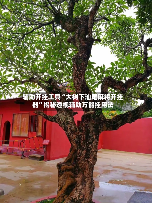 辅助开挂工具“大树下汕尾麻将开挂器”揭秘透视辅助万能挂用法