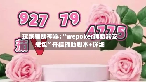 玩家辅助神器:“wepoker辅助器安装包”开挂辅助脚本+详细-第3张图片