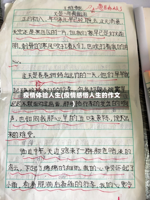 疫情体验人生(疫情感悟人生的作文)