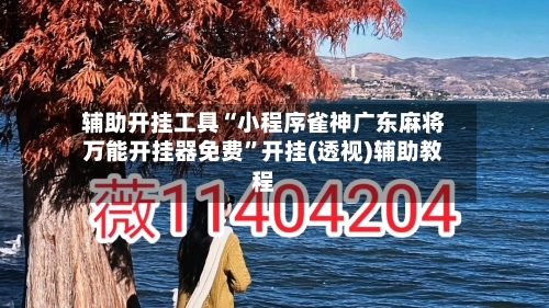 辅助开挂工具“小程序雀神广东麻将万能开挂器免费”开挂(透视)辅助教程-第3张图片