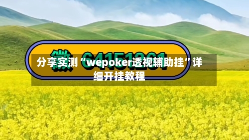 分享实测“wepoker透视辅助挂”详细开挂教程-第2张图片
