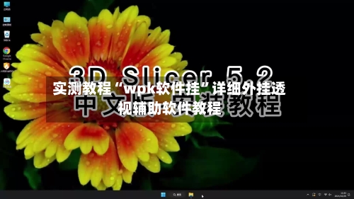 实测教程“wpk软件挂”详细外挂透视辅助软件教程