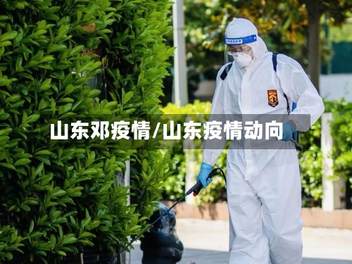 山东邓疫情/山东疫情动向