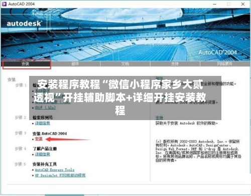 安装程序教程“微信小程序家乡大贰透视	”开挂辅助脚本+详细开挂安装教程-第2张图片