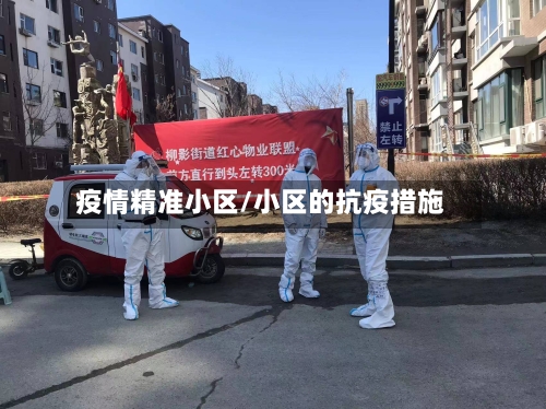 疫情精准小区/小区的抗疫措施