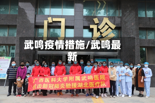 武鸣疫情措施/武鸣最新-第2张图片